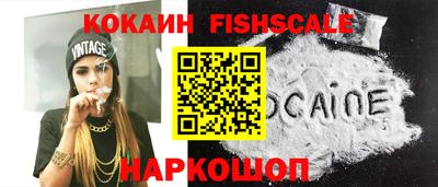 мдпв Камышлов