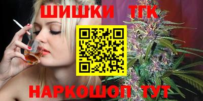 мдпв Камышлов