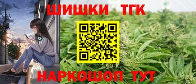 мдпв Камышлов