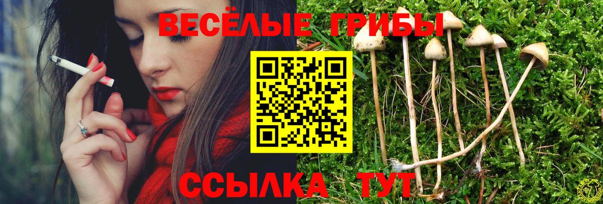 Истра  Галлюциногенные грибы мухоморы  Вход с VPN  Псилоцибиновые грибы Magic Shrooms 