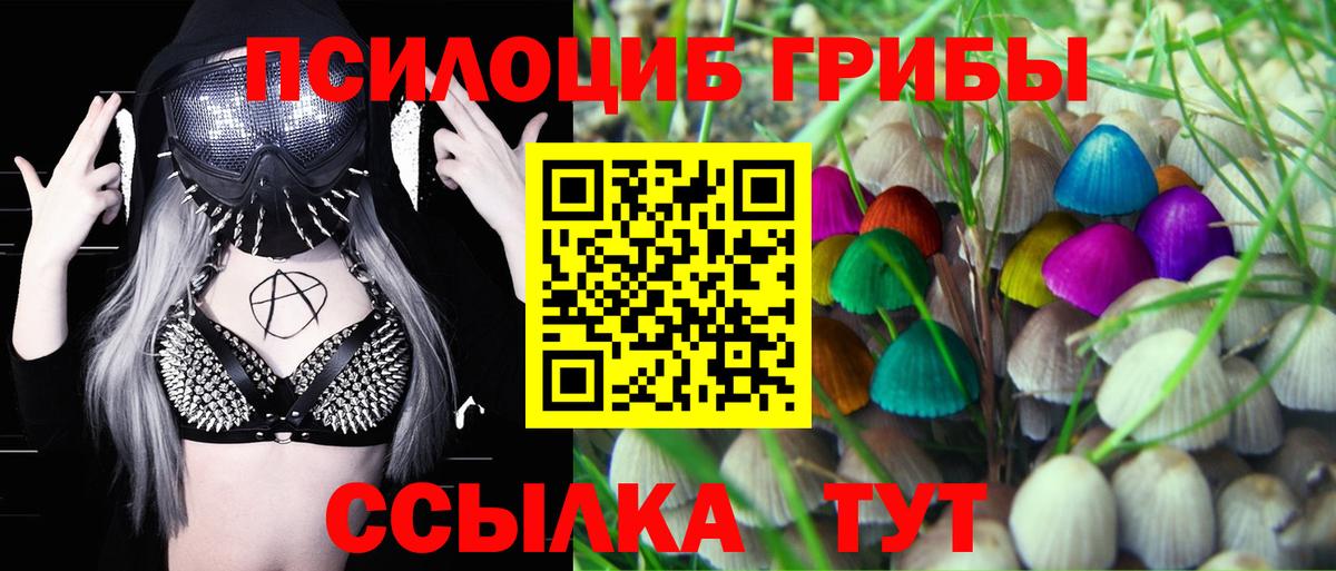 АМФ кристаллы  MDMA  МЕФ кристаллы  Гашиш  ЭКСТАЗИ  Истра  Кокаин 