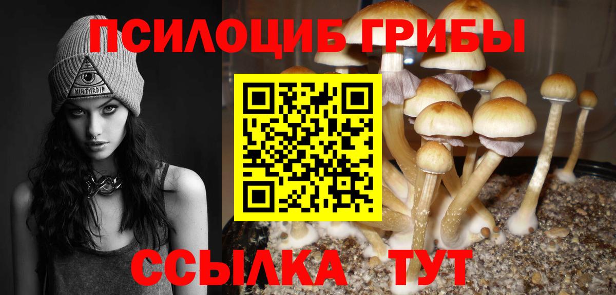 Псилоцибиновые грибы Psilocybe Истра